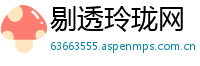 剔透玲珑网